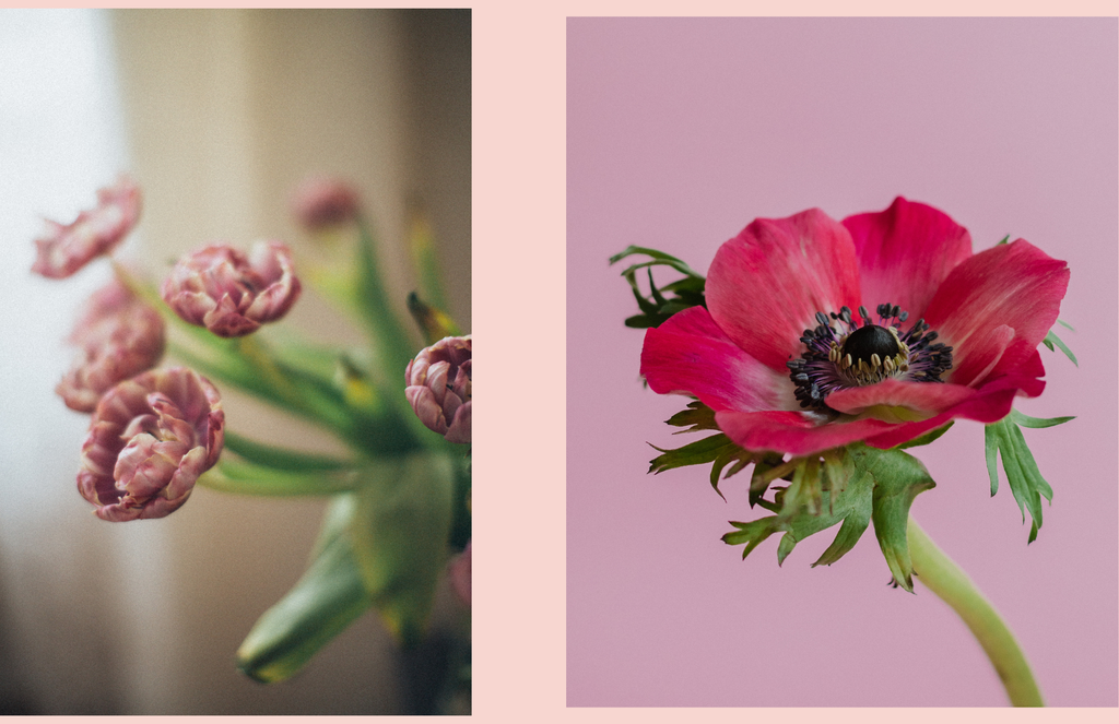 Best Event Flowers in Sanpete County